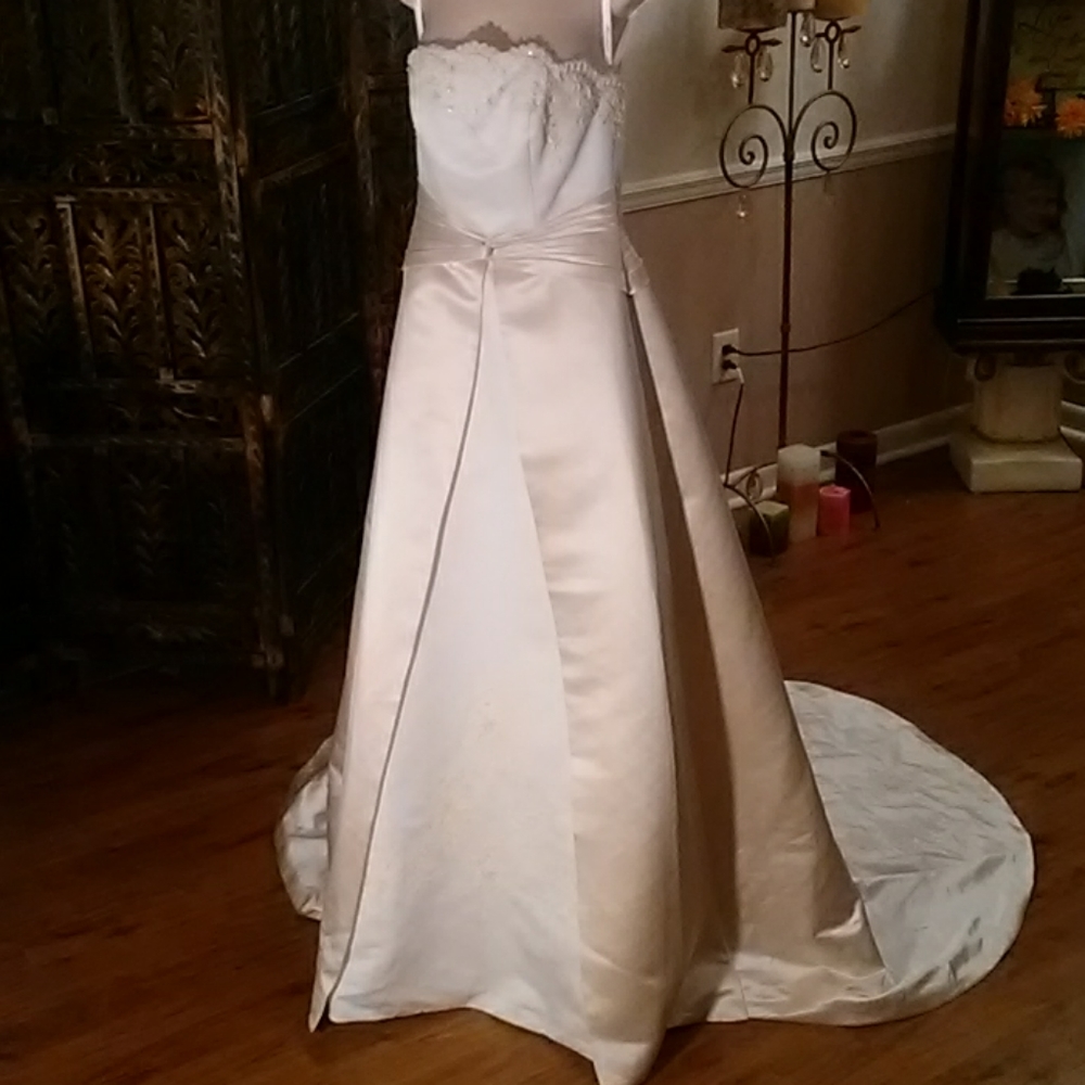 David's Bridal, size 4, color Ivy Champ